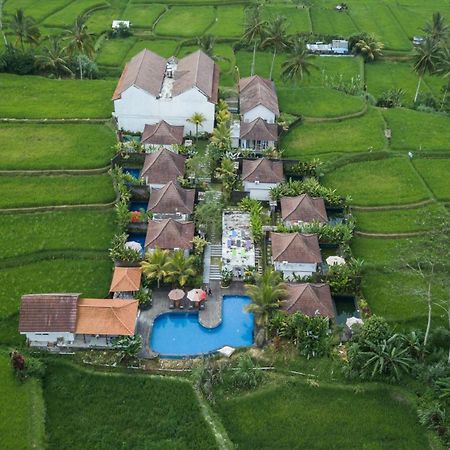 Tanta Escape Hotel Tegallalang  Buitenkant foto
