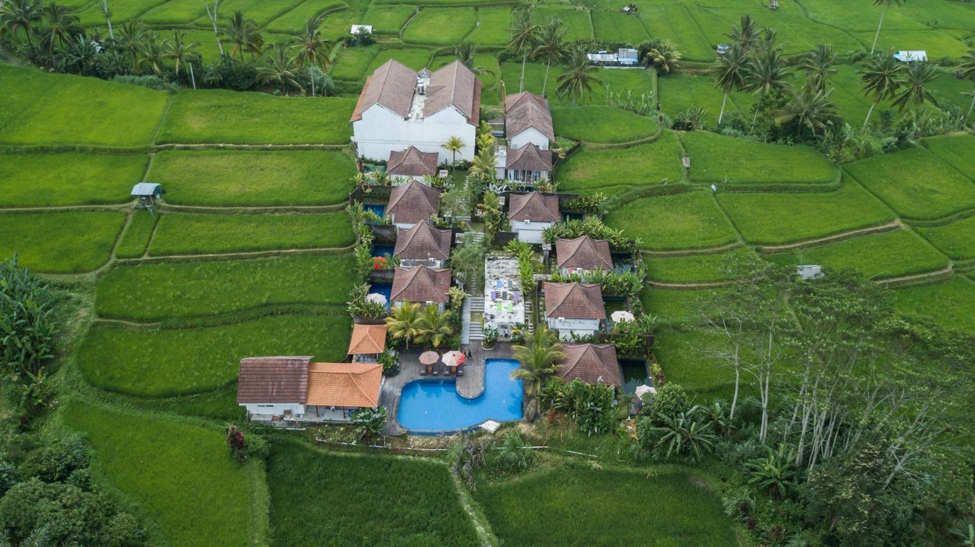 Tanta Escape Hotel Tegallalang  Buitenkant foto