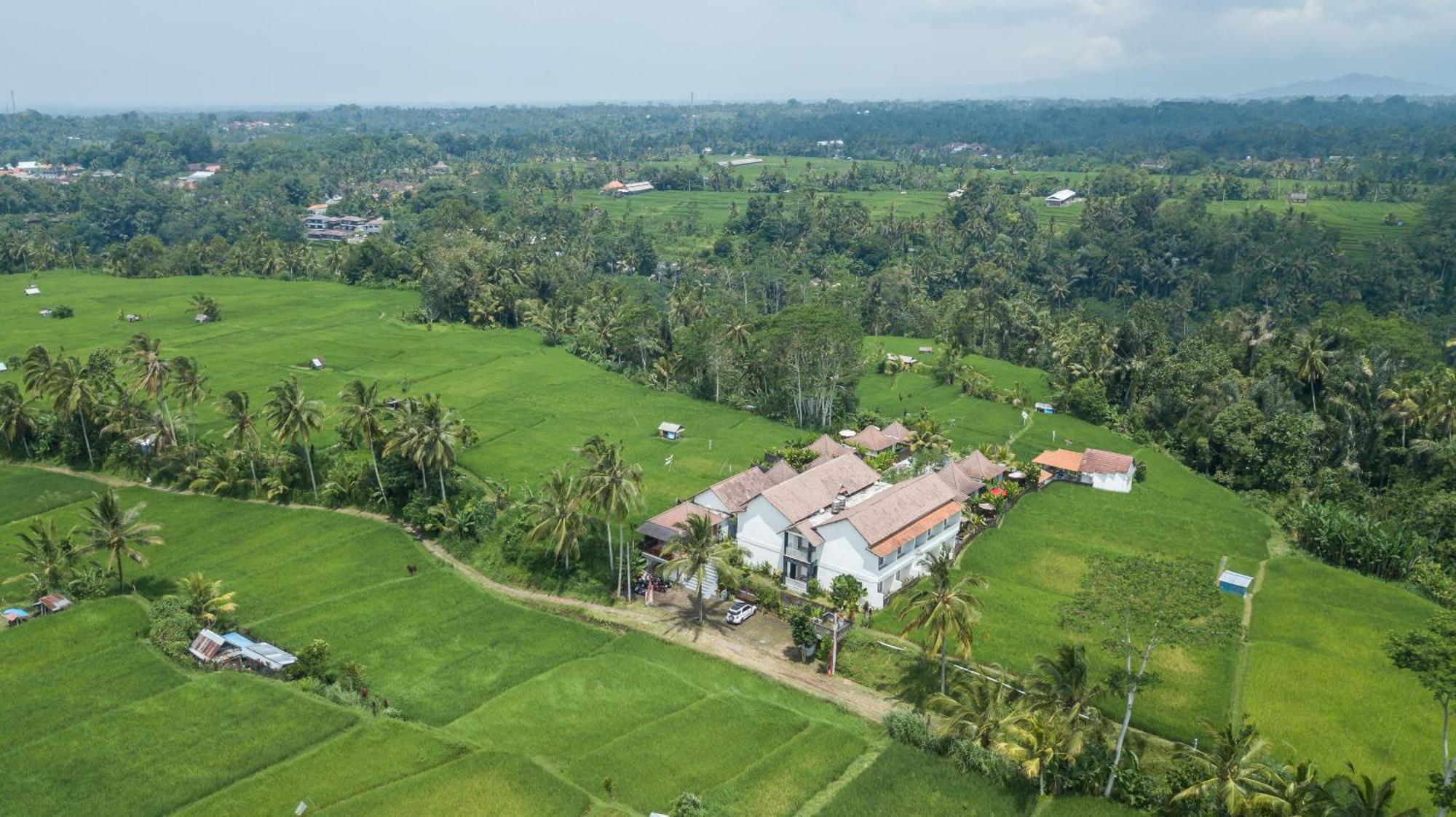 Tanta Escape Hotel Tegallalang  Buitenkant foto