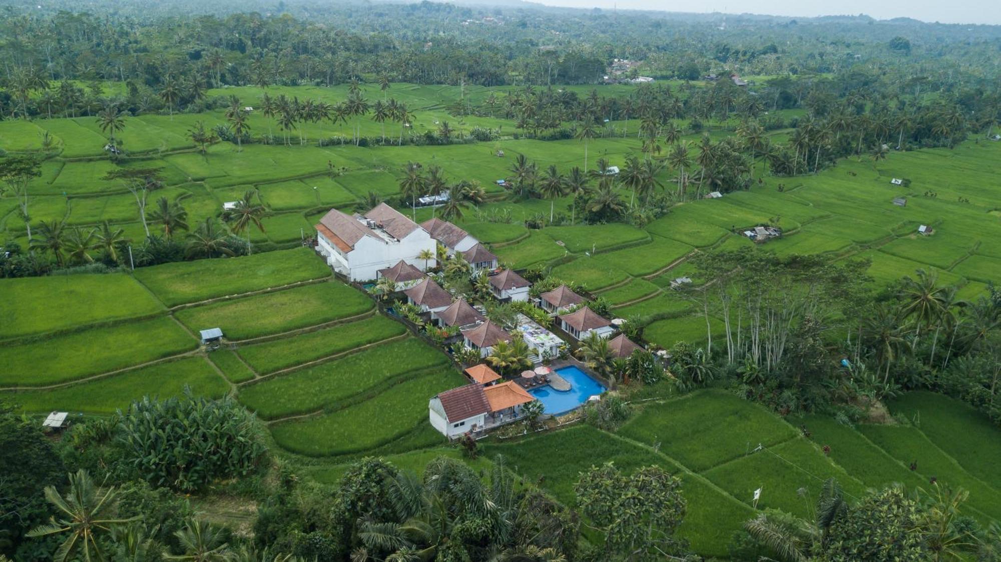 Tanta Escape Hotel Tegallalang  Buitenkant foto
