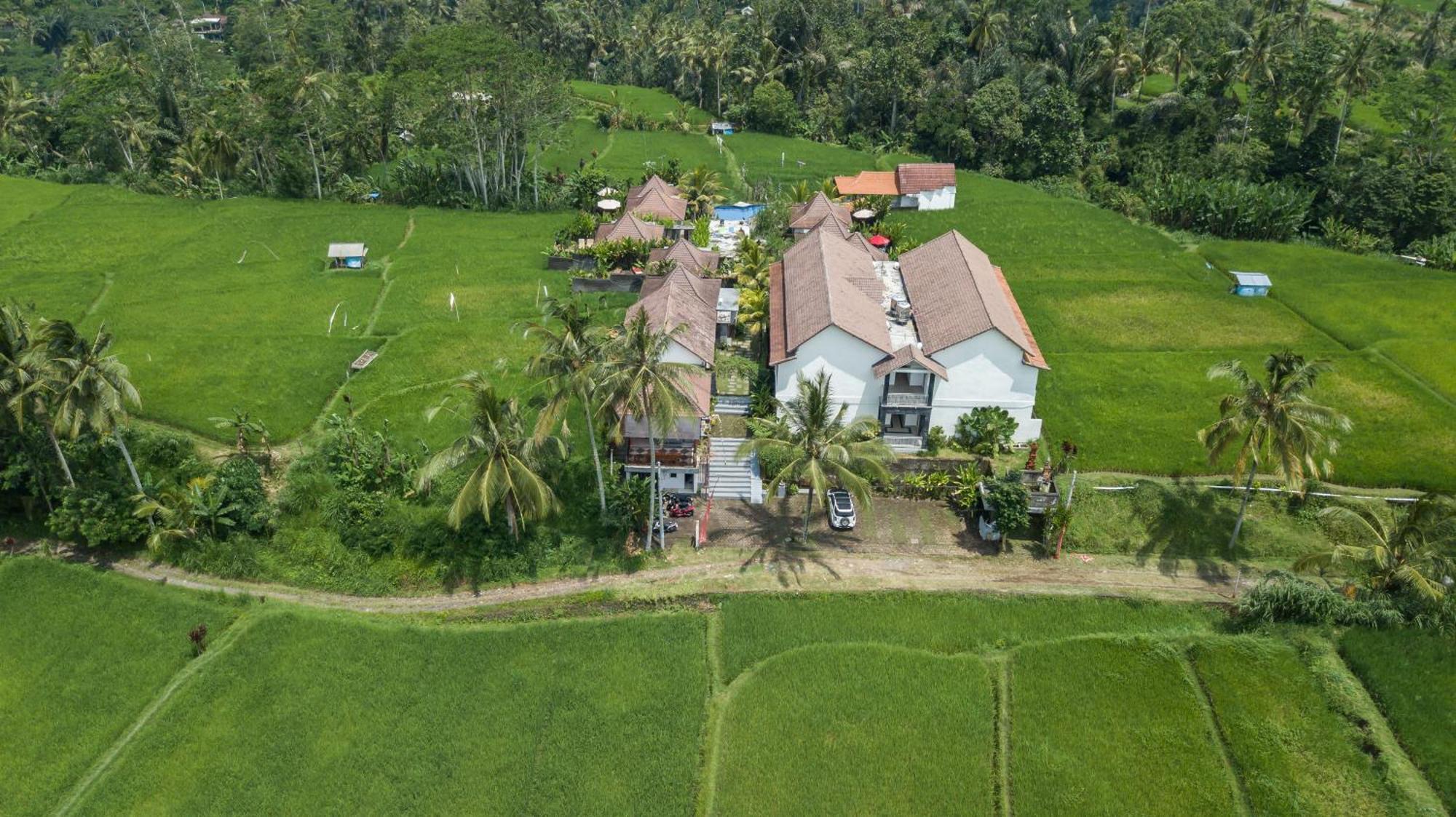 Tanta Escape Hotel Tegallalang  Buitenkant foto