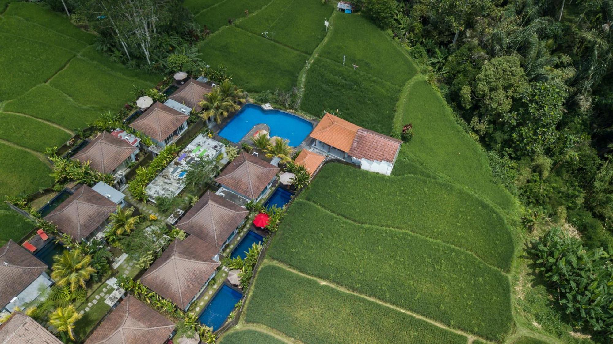 Tanta Escape Hotel Tegallalang  Buitenkant foto